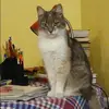 Отзыв от Динара Горюнова